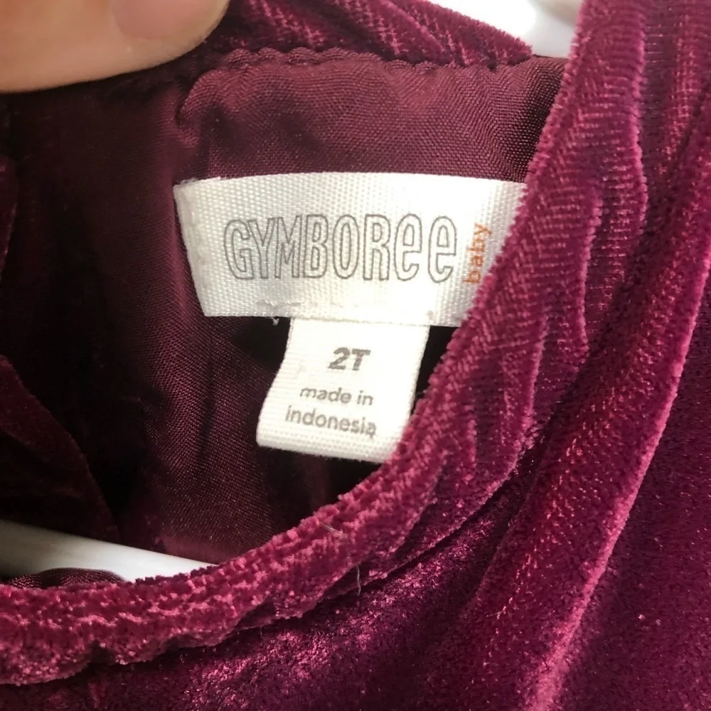 Gymboree Plum‎ Velvet Dress size 2T